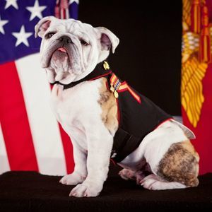 Meet your Posher, Jeffery